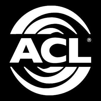 Midnight Auto Garage is proud to carry ACL Race series engine bearings