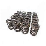 Alpha Valve Spring Set - H22 / F20B