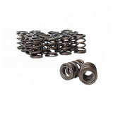 Alpha Valve Spring Set - H22 / F20B