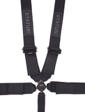 Status Racing CAMLOCK HARNESS